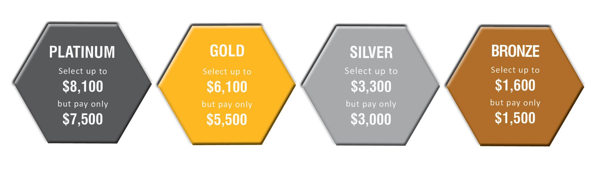 Partnership Levels Graphic